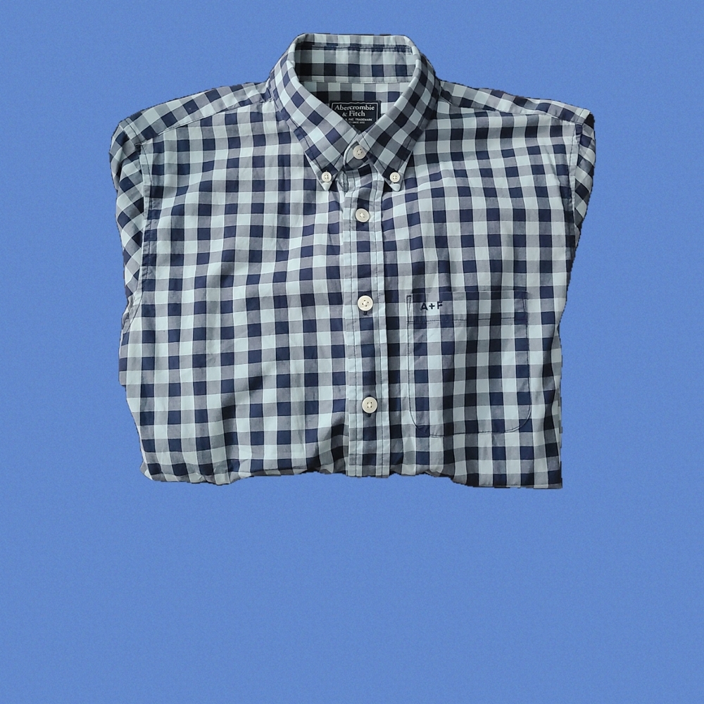 Abercrombie & Fitch Co. Men’s Small Relaxed Blue Button Up LS Checker Shirt